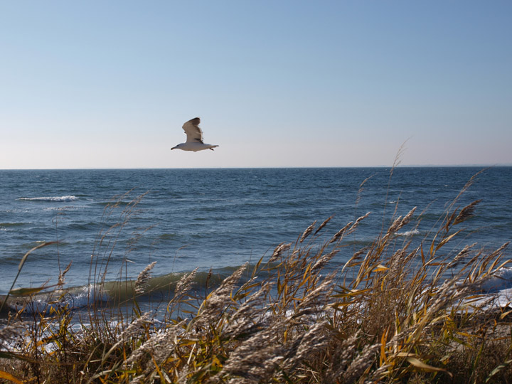 Suedstrand-Fehmarn